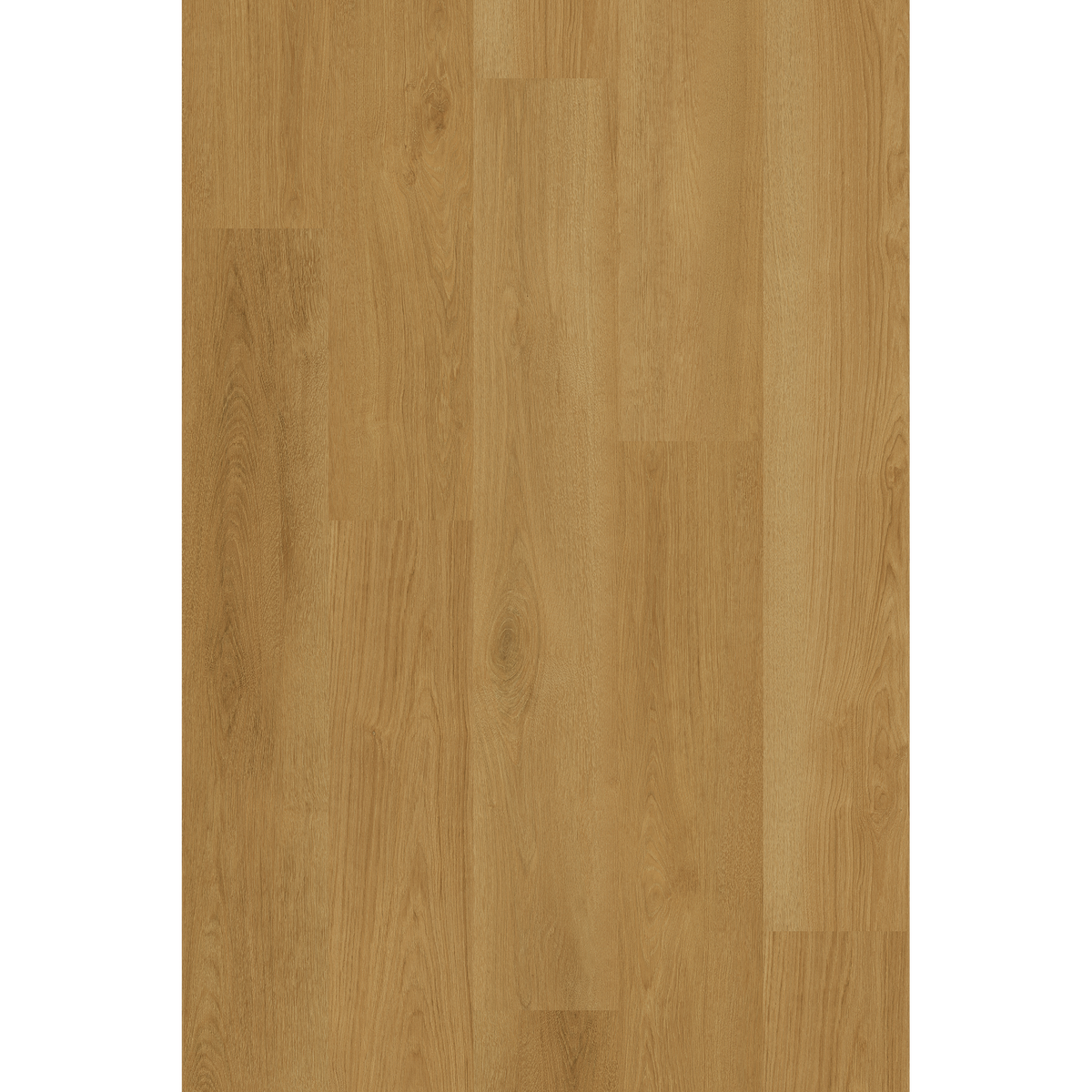 Hyb Barley Oak Off Cut Sample