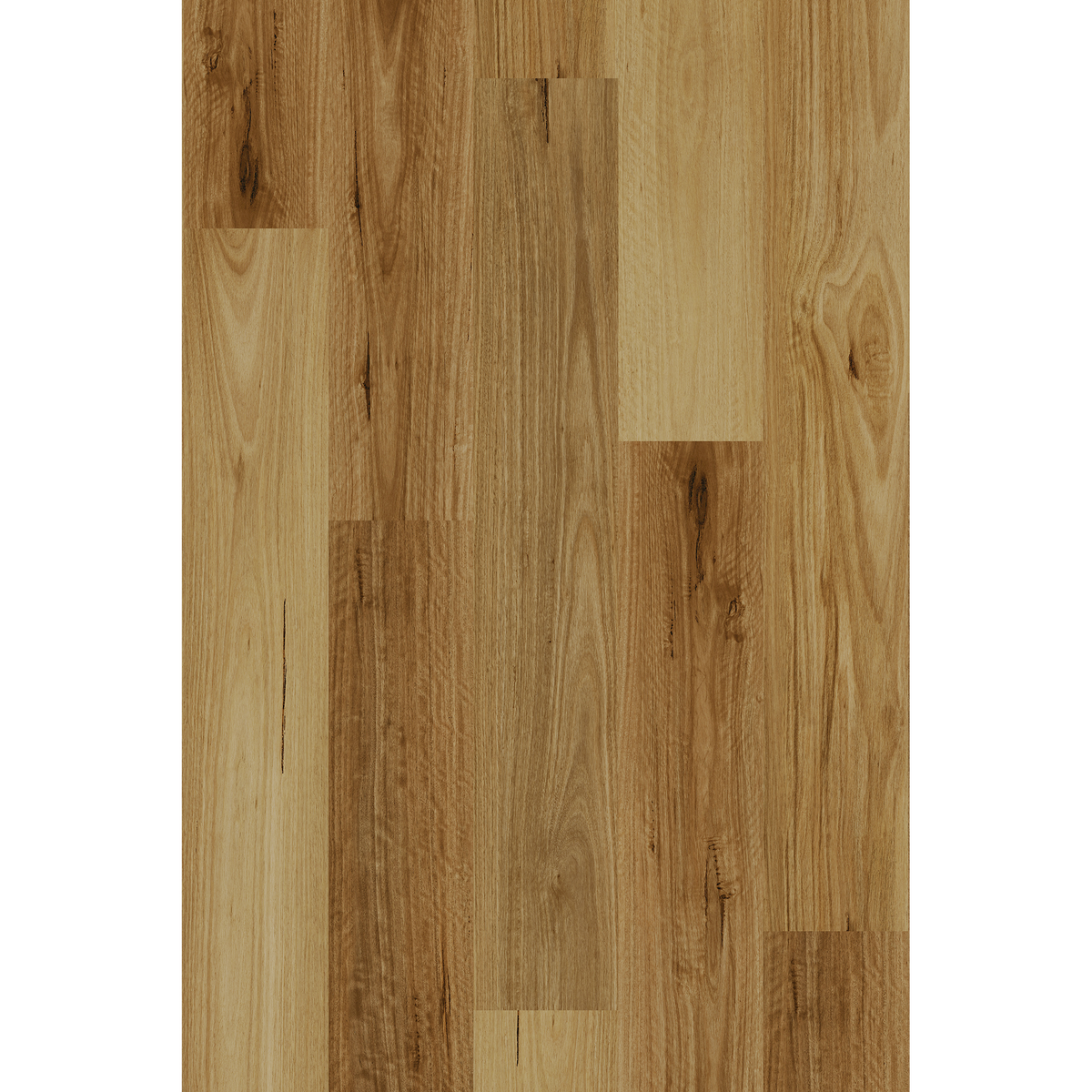 Hyb Blackbutt Off Cut Sample