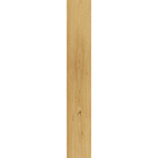 Blackbutt Hybrid Textured