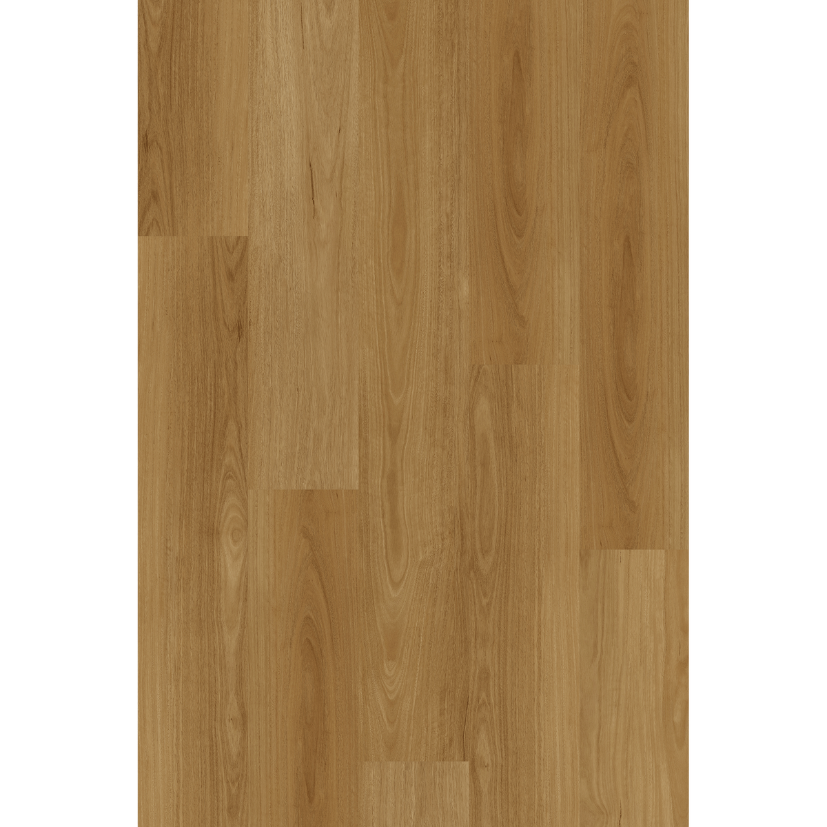 Hyb Tasmanian Oak Off Cut Sample