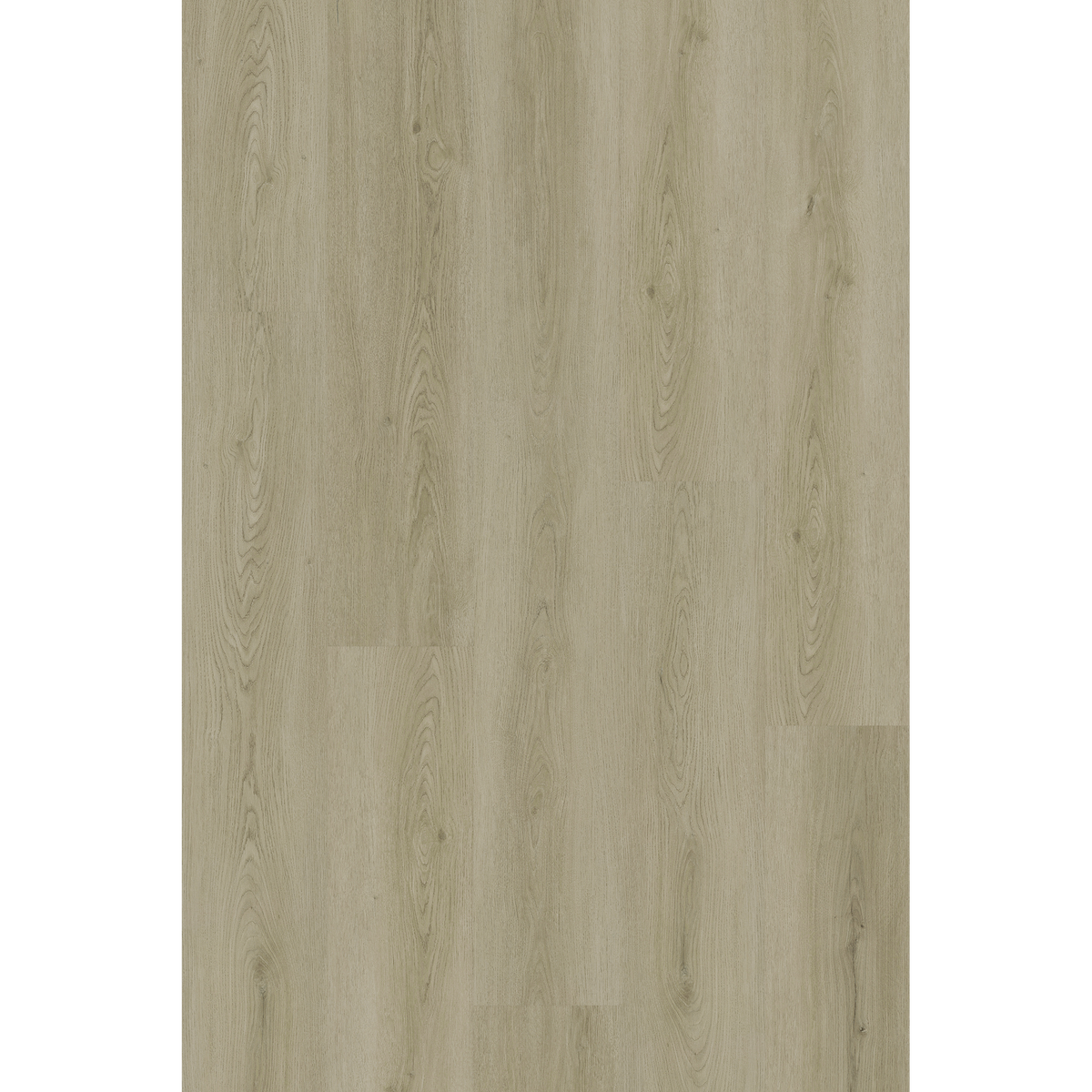 Hyb Grey Oak Off Cut Sample