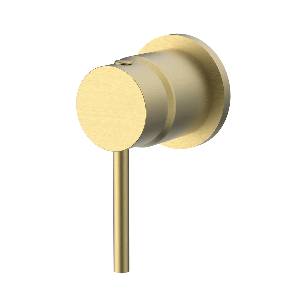 Wall/Shower Mixer Trim Kit Brushed Gold