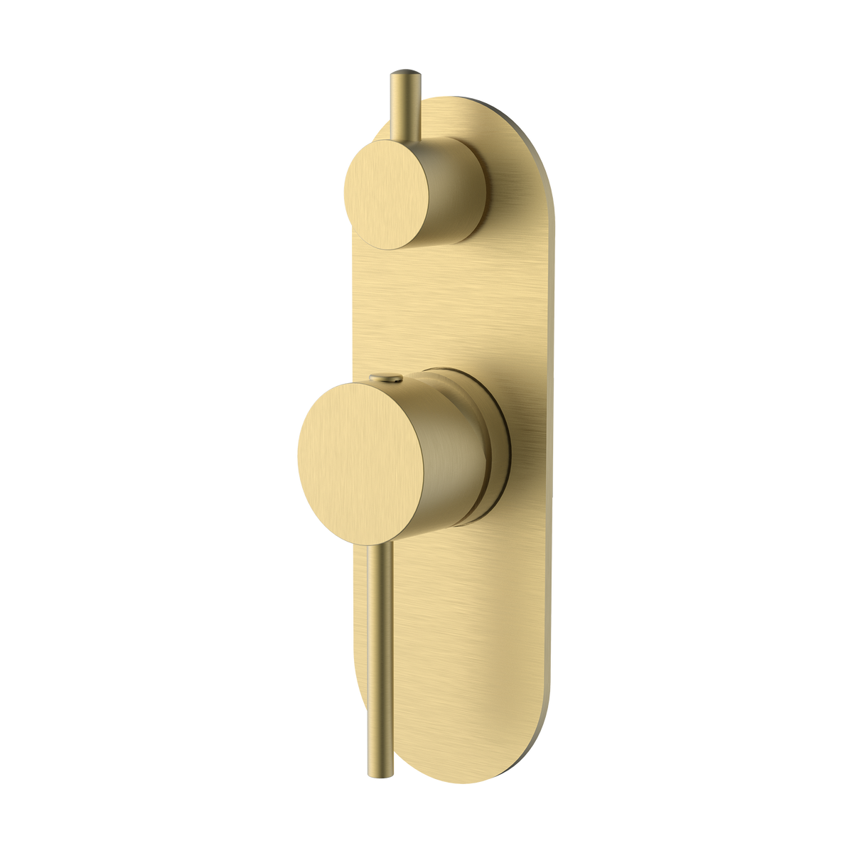 Wall/Shower Mixer W Divertor Trim Kit Brushed Gold