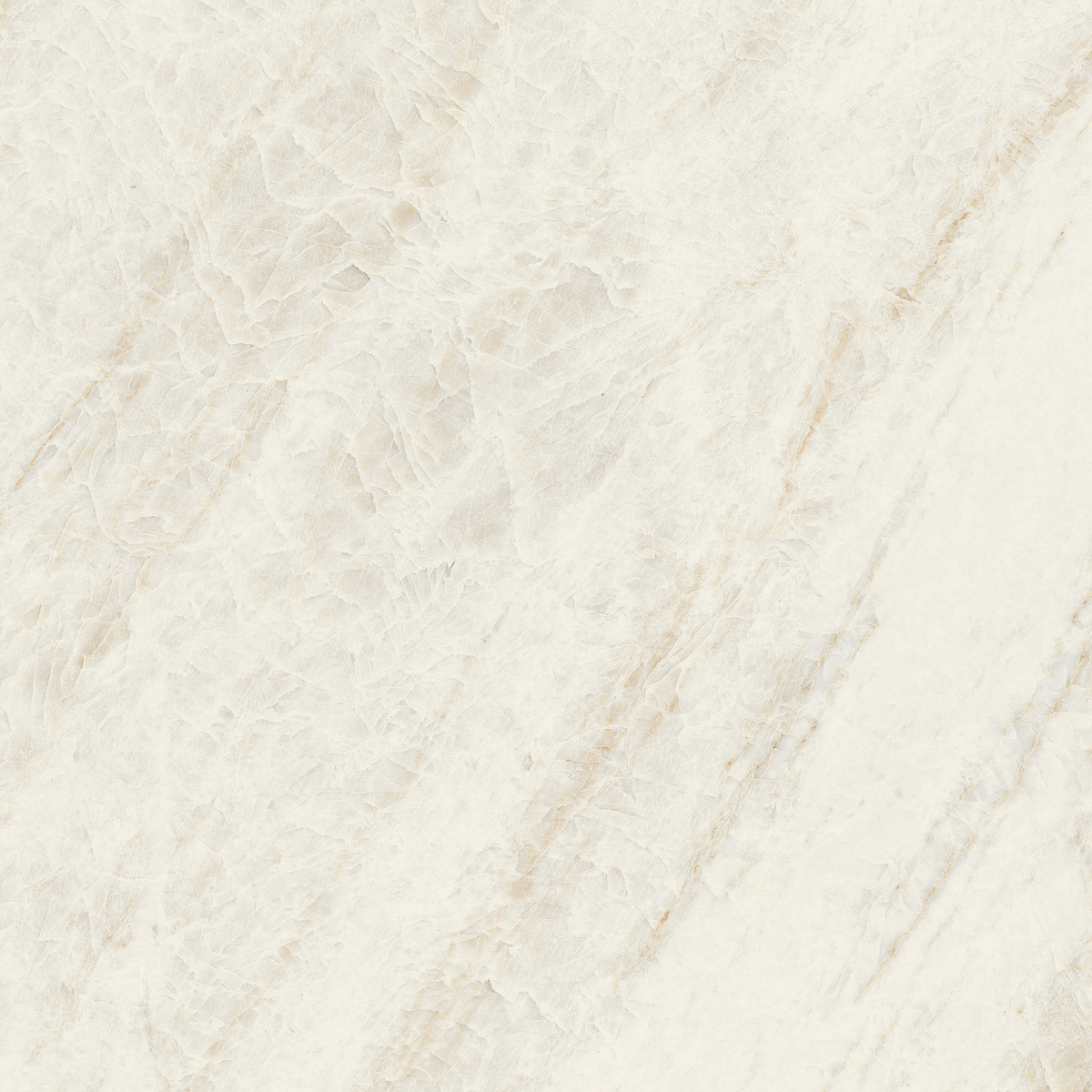 Oyster Taj Mahal White HiLite Matt Tile