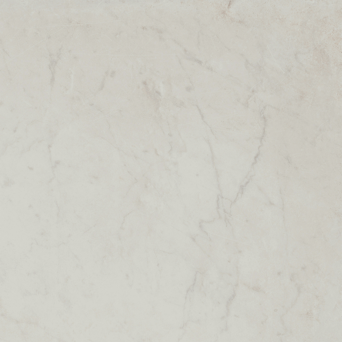 Carrara HiLite Silk Tile