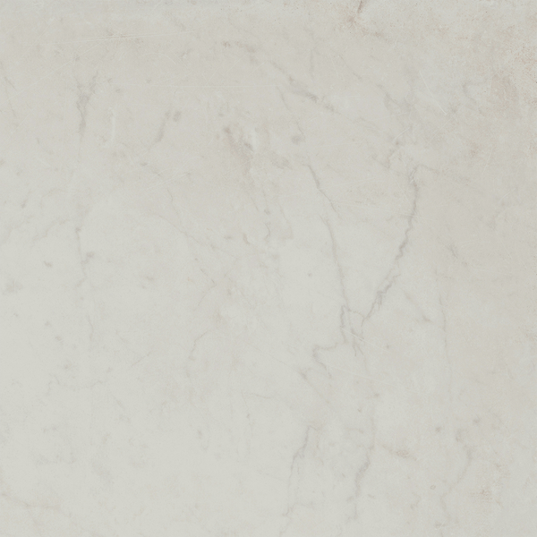 Carrara HiLite Silk Tile