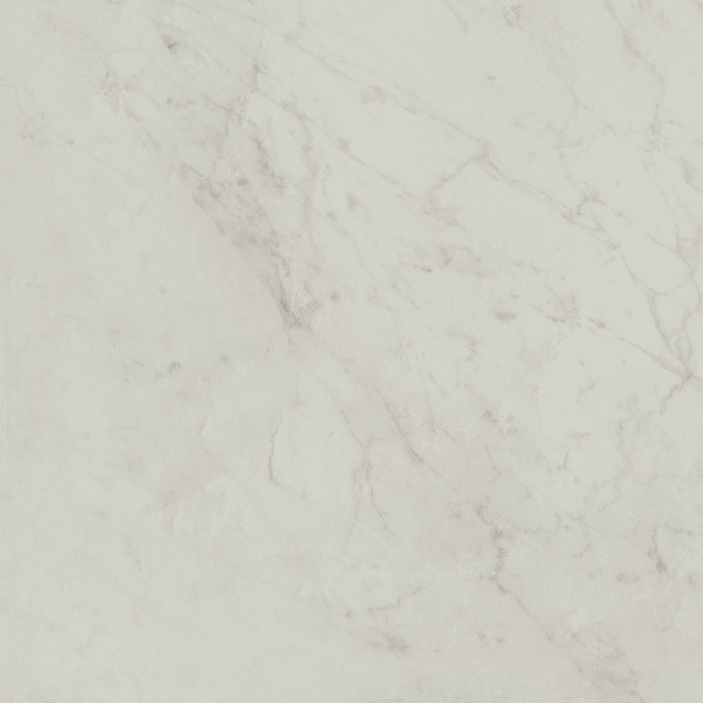Carrara HiLite Silk Tile