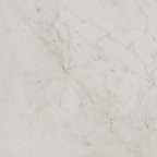 Carrara HiLite Silk Tile