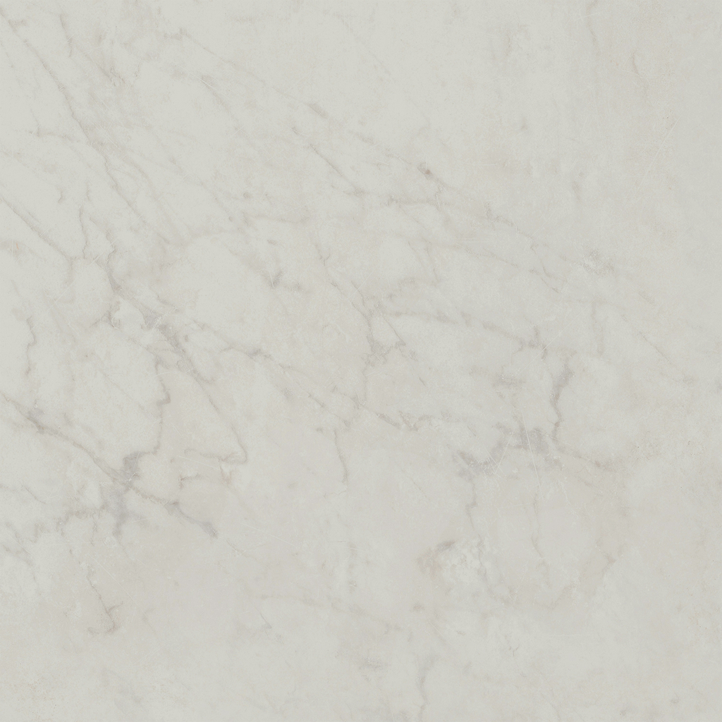 Carrara HiLite Silk Tile