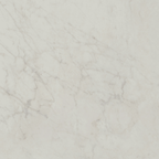 Carrara HiLite Silk Tile