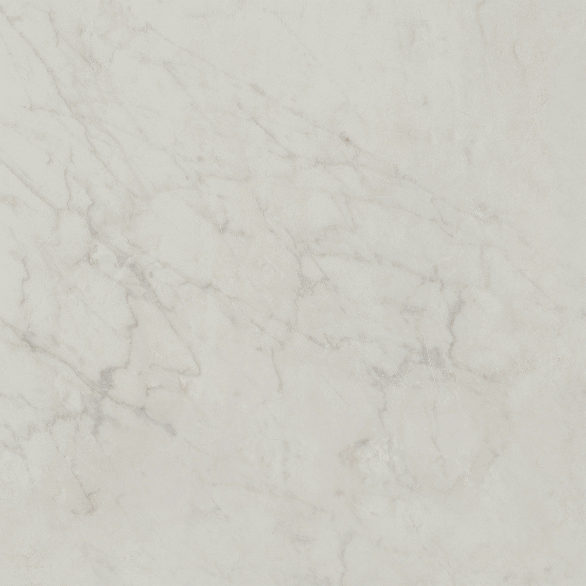 Carrara HiLite Silk Tile