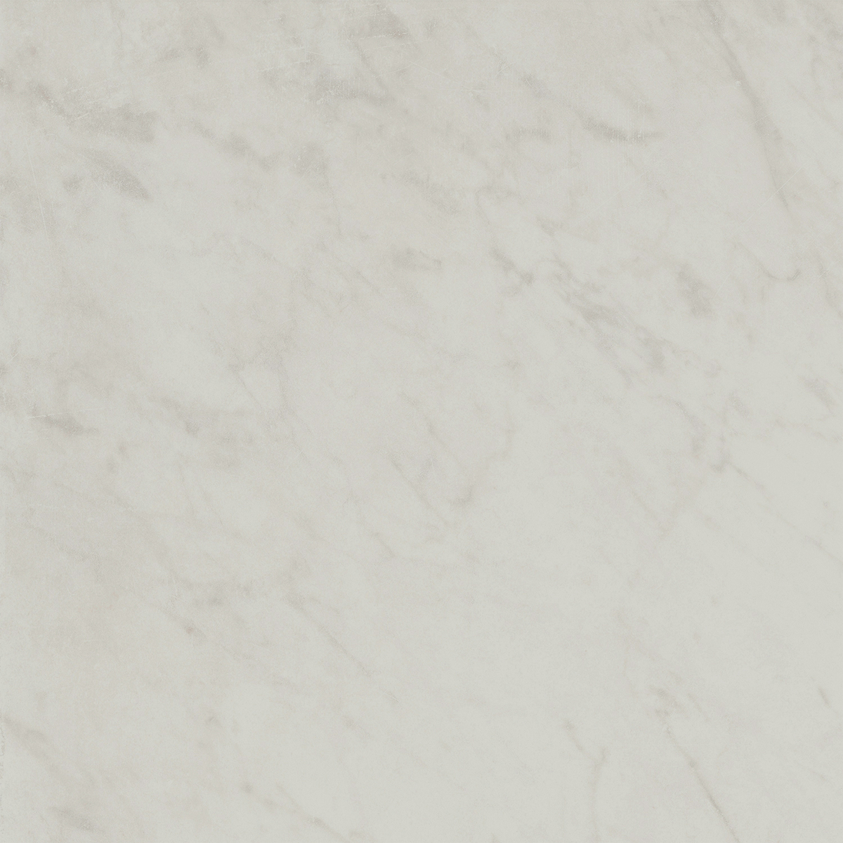 Carrara HiLite Silk Tile