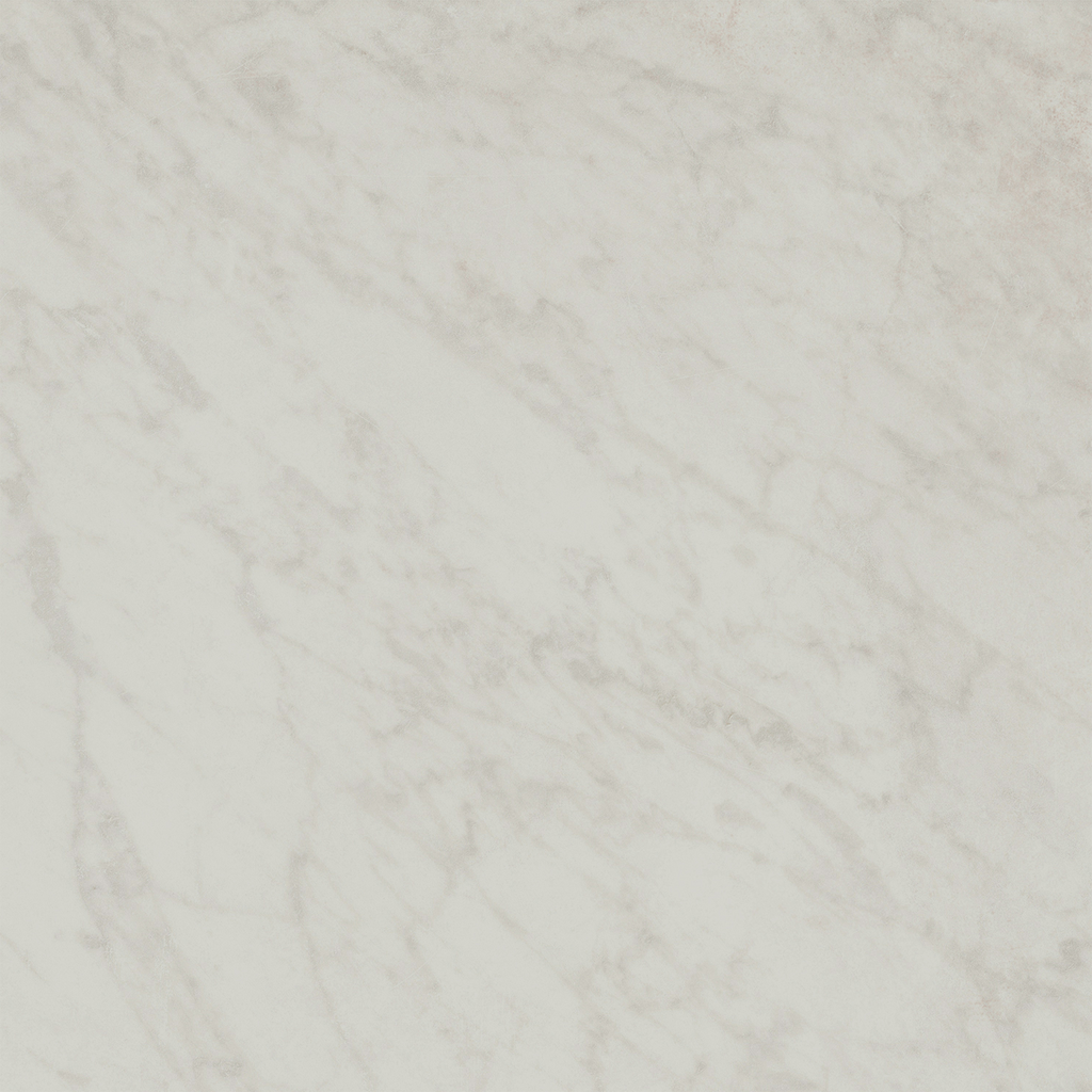 Carrara HiLite Silk Tile