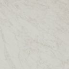 Carrara HiLite Silk Tile