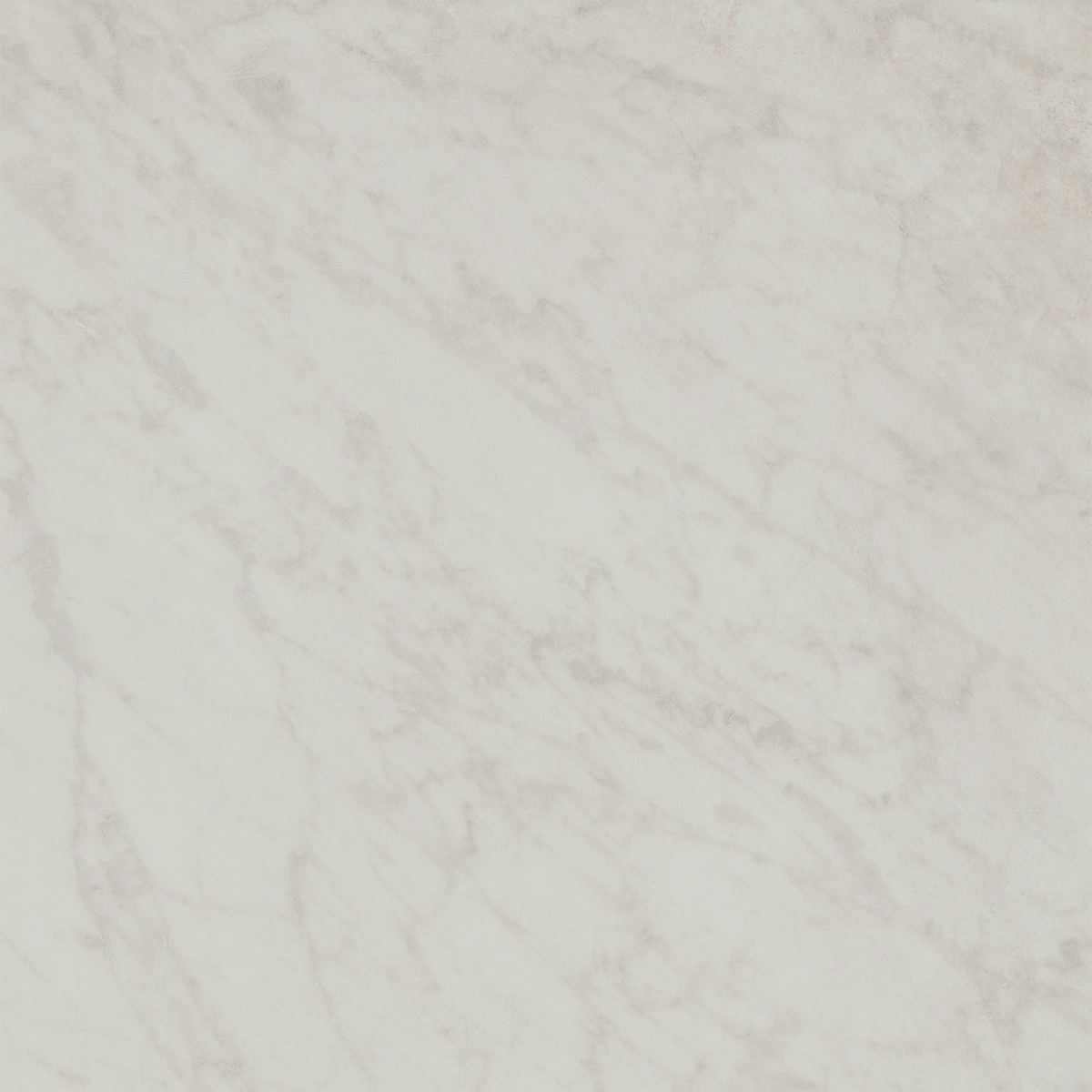 Carrara HiLite Silk Tile