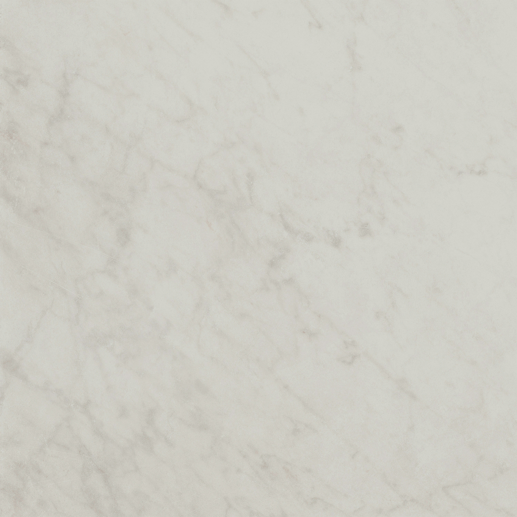 Carrara HiLite Silk Tile