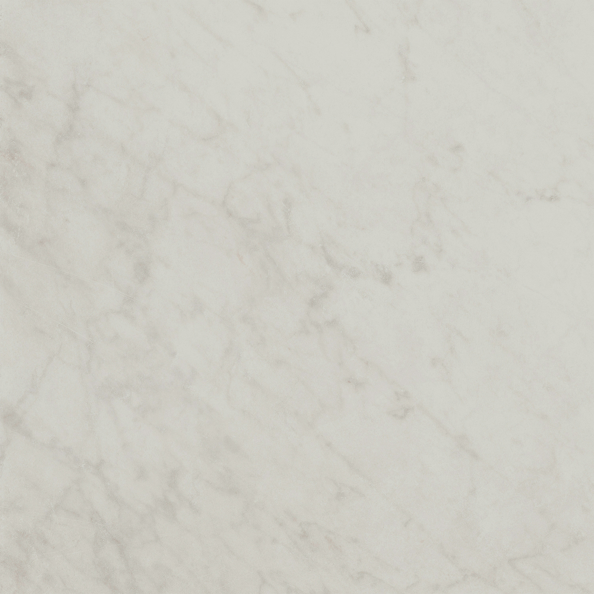 Carrara HiLite Silk Tile