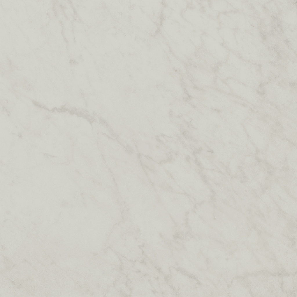 Carrara HiLite Silk Tile