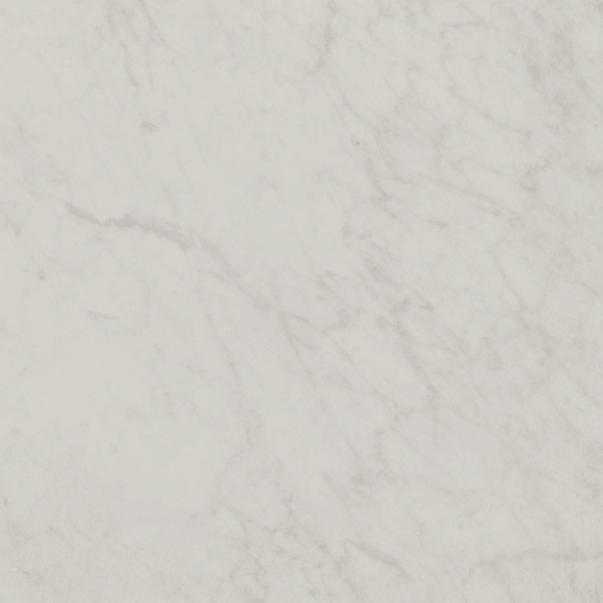 Carrara HiLite Silk Tile