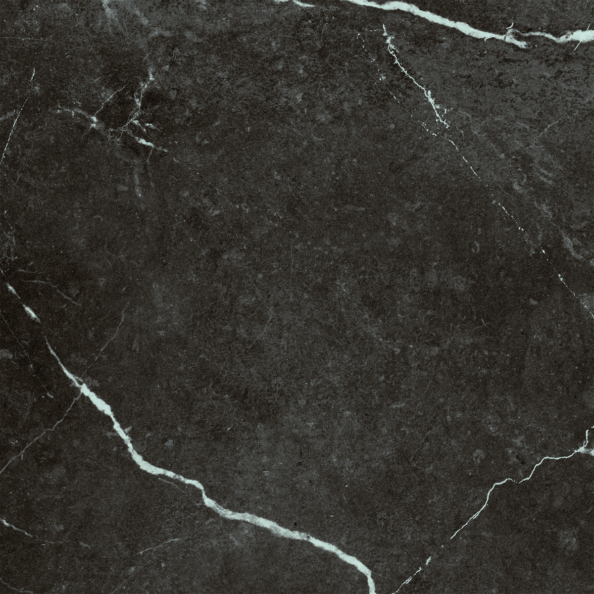 Nero Marquina HiLite Silk Tile
