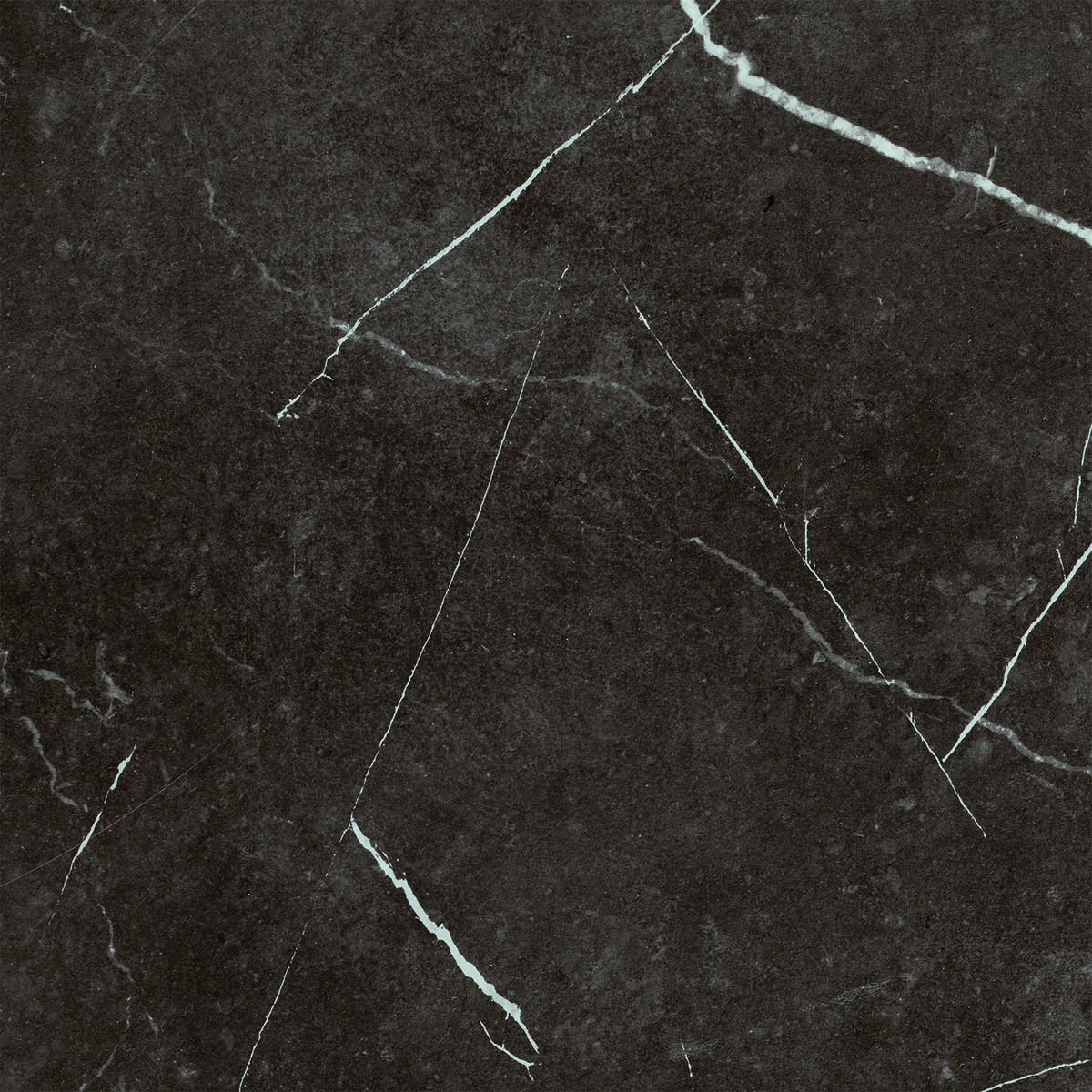 Nero Marquina HiLite Silk Tile