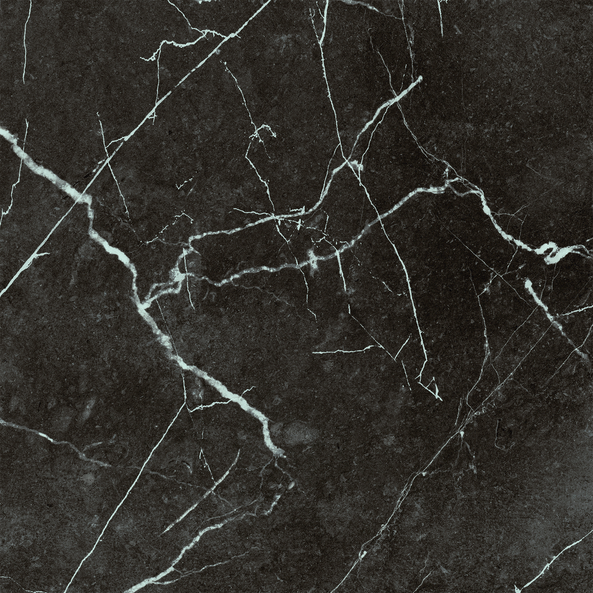 Nero Marquina HiLite Silk Tile