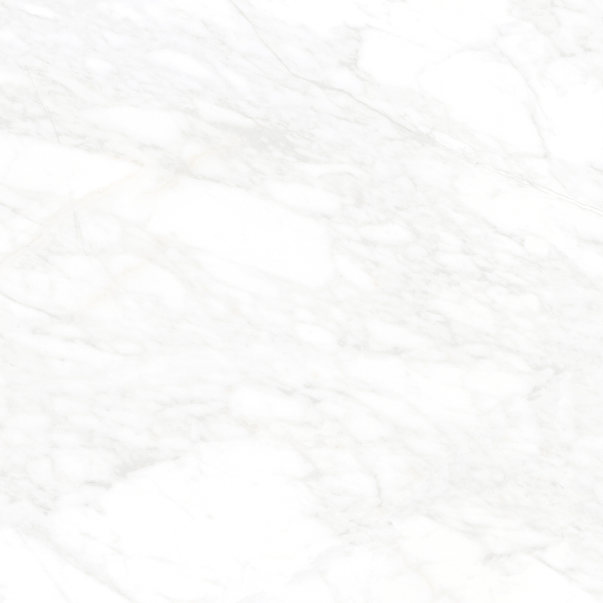 White Matt Tile