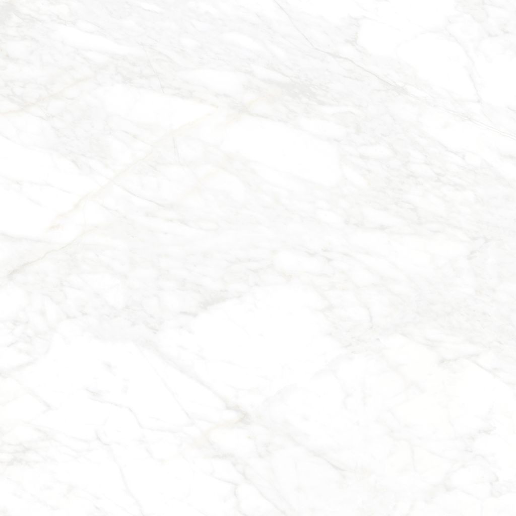White Matt Tile