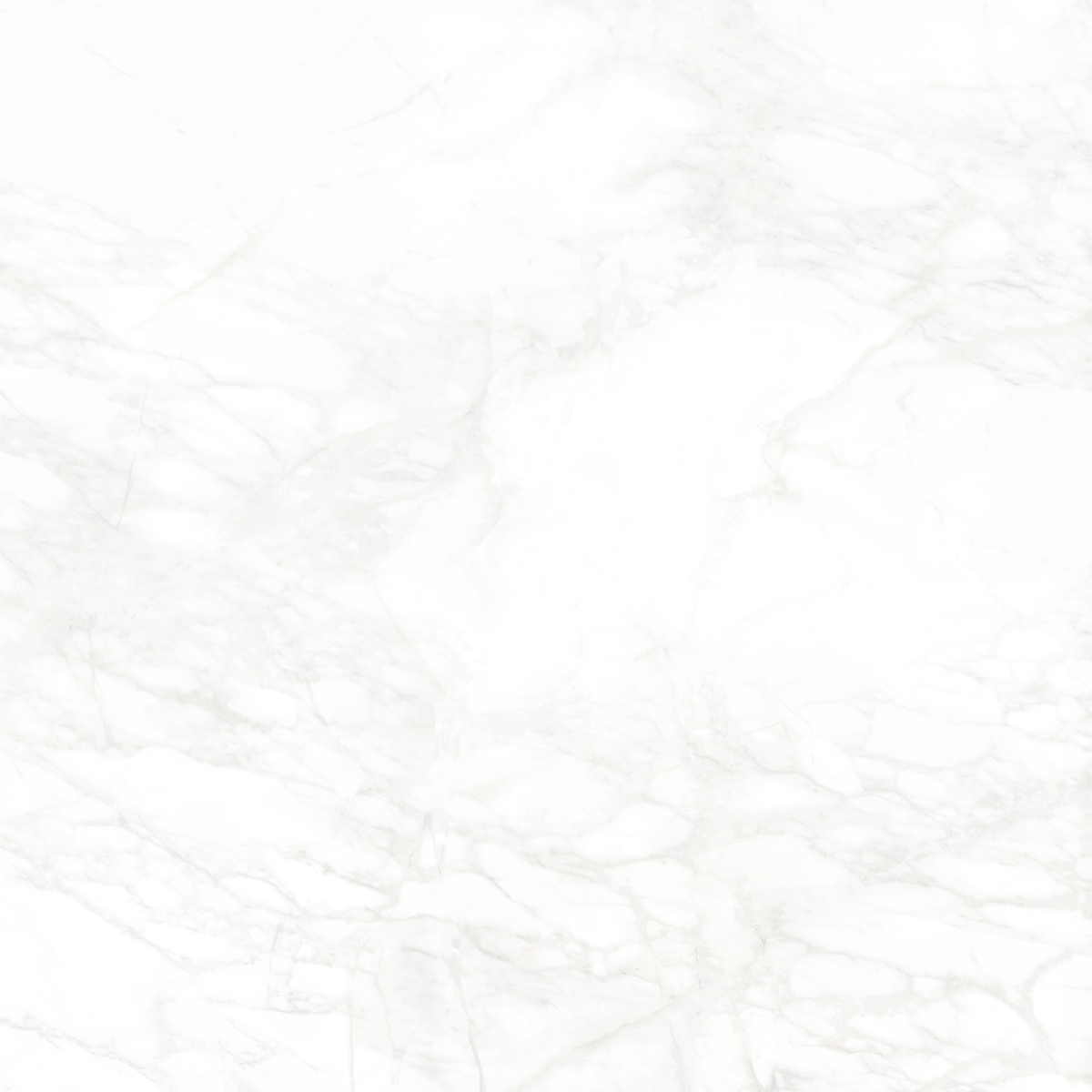 White Matt Tile