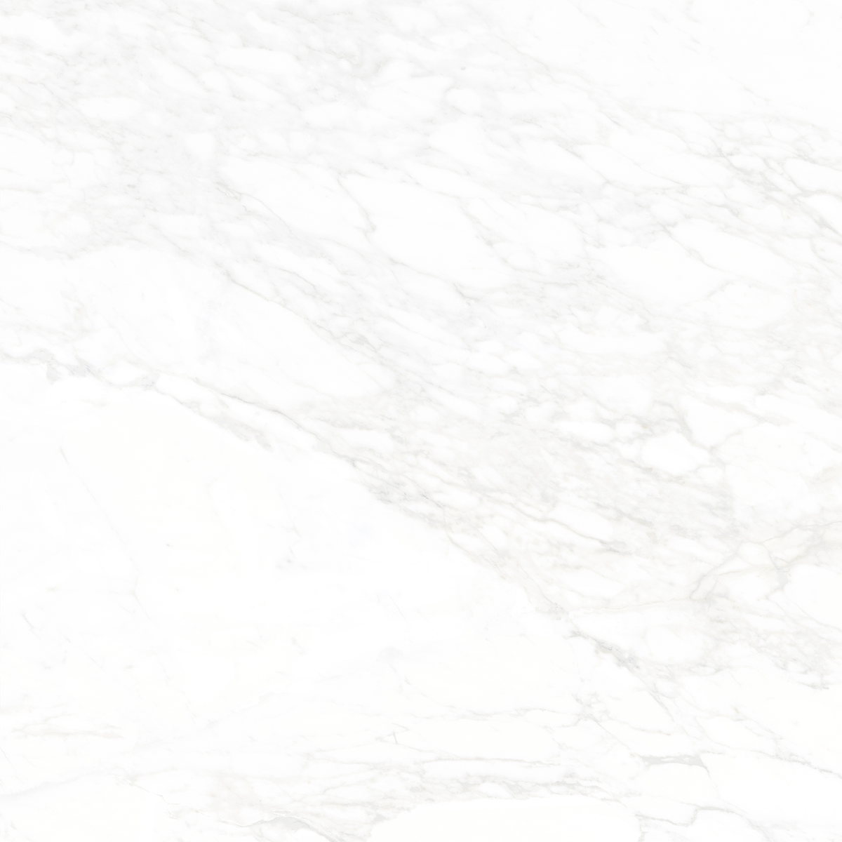 White Matt Tile