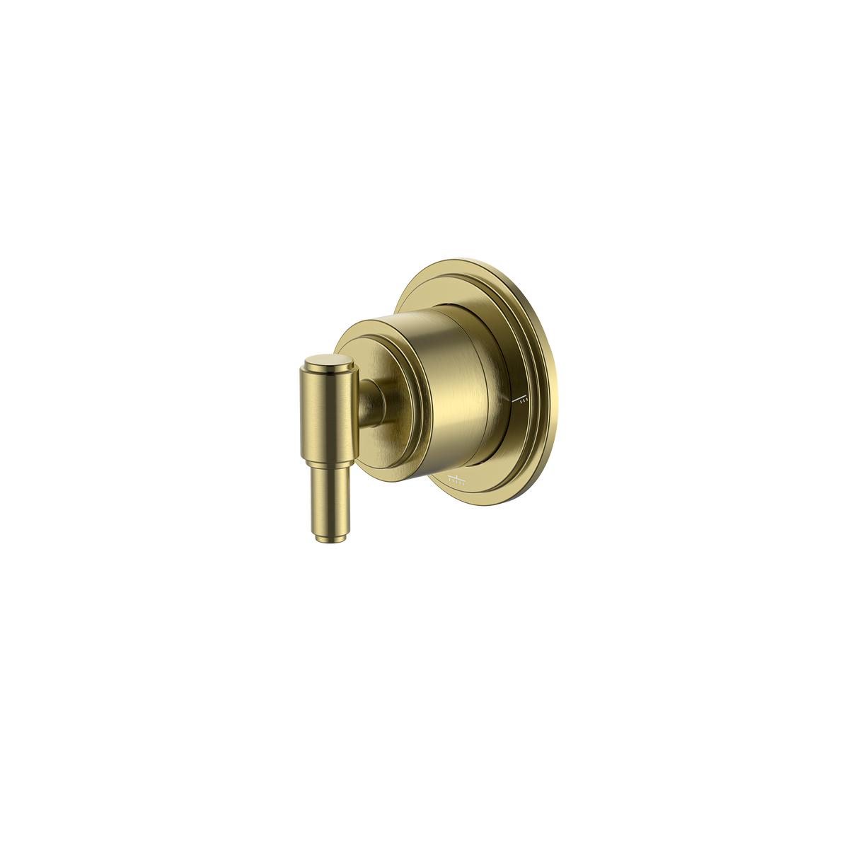 Retrofit Shower Divertor Brushed Gold