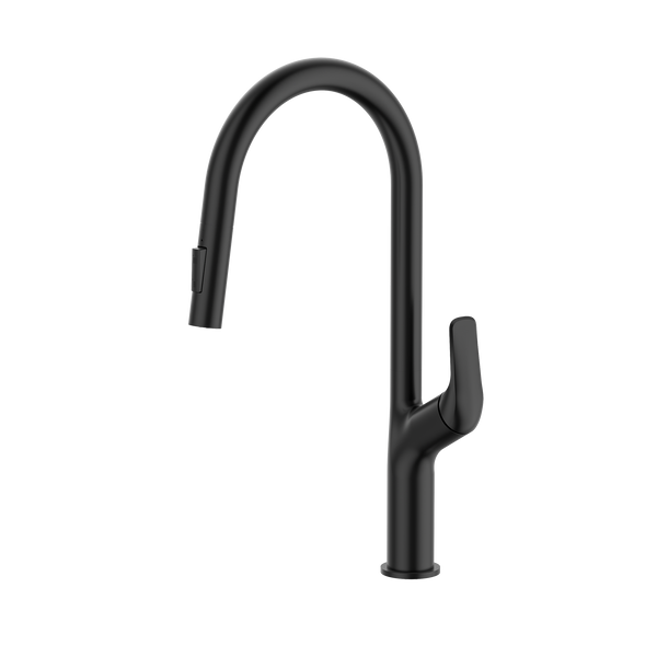 Pull out Sink Mixer Matte Black