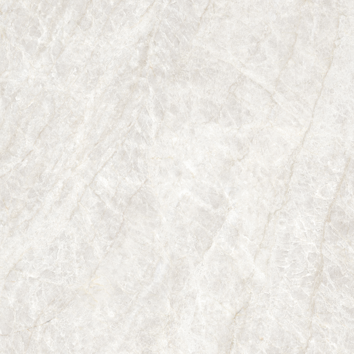 Taj Mahal White Polished Tile