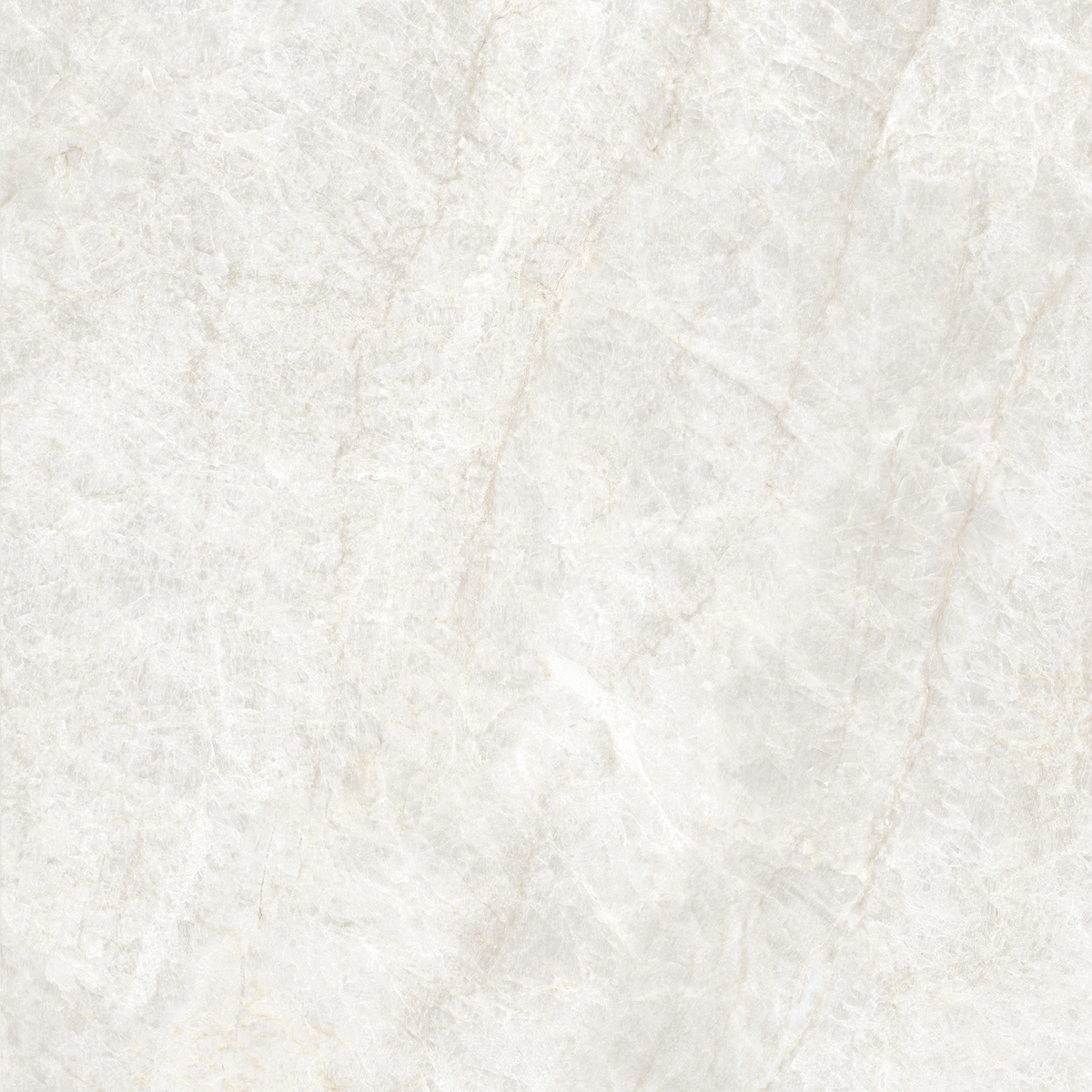 Taj Mahal White Polished Tile