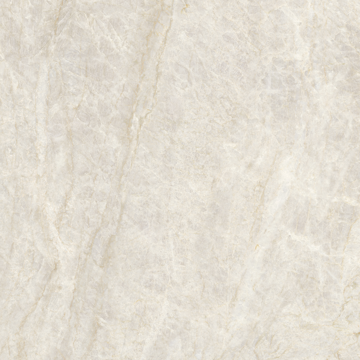 Taj Mahal Beige Polished Tile