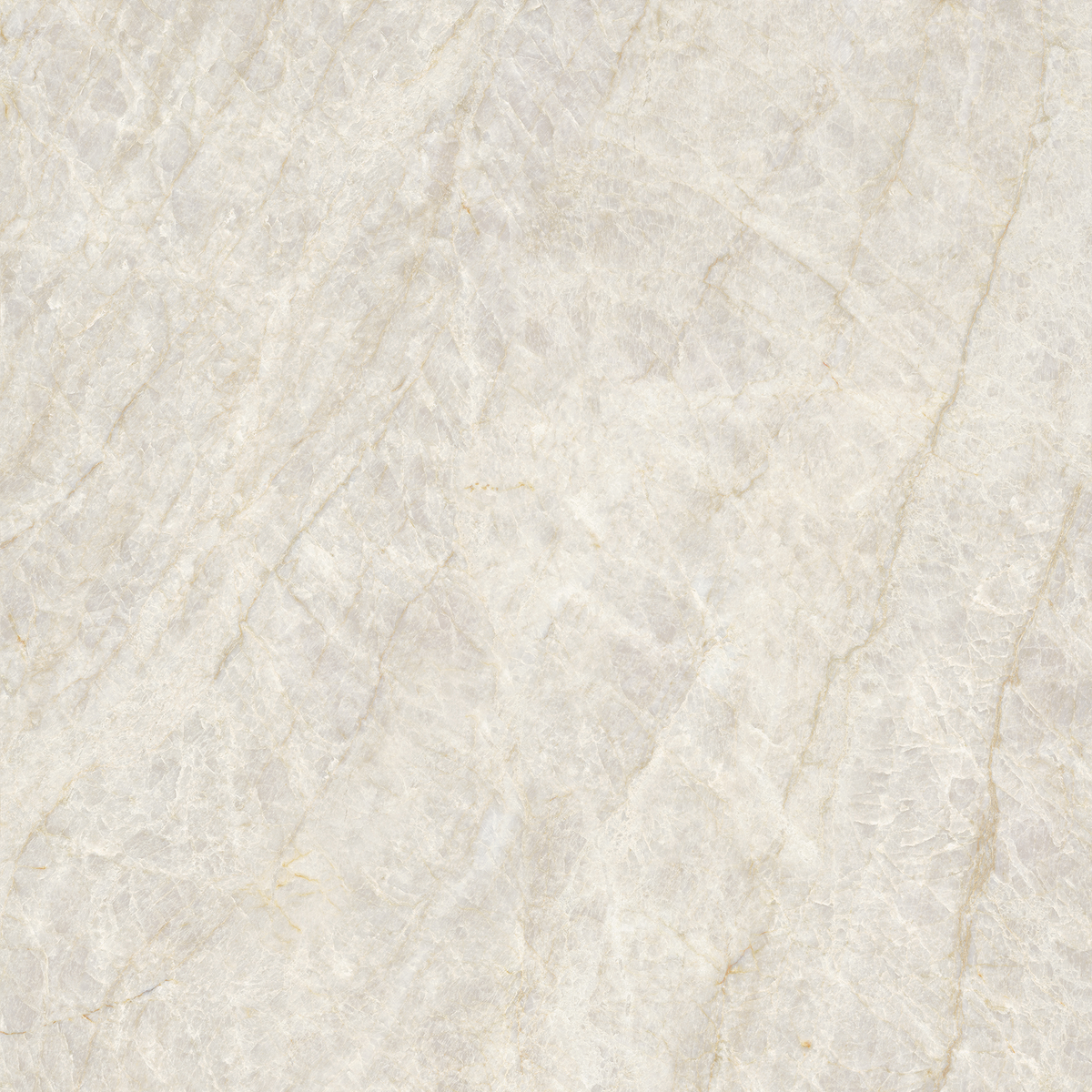 Taj Mahal Beige Polished Tile
