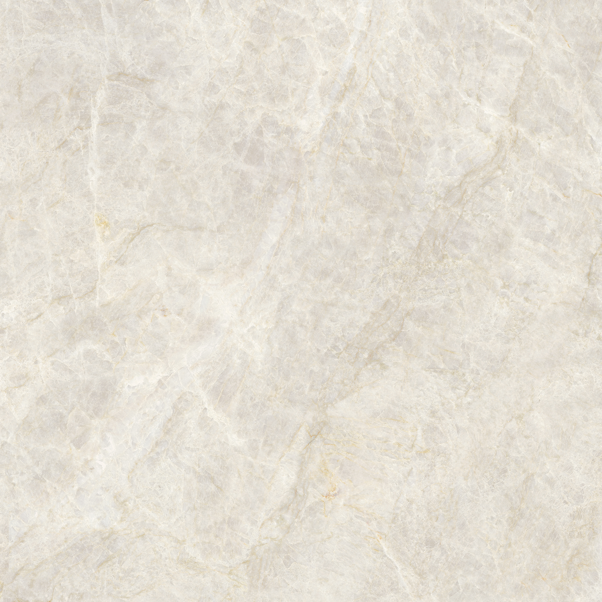 Taj Mahal Beige Polished Tile