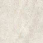 Taj Mahal Beige Polished Tile