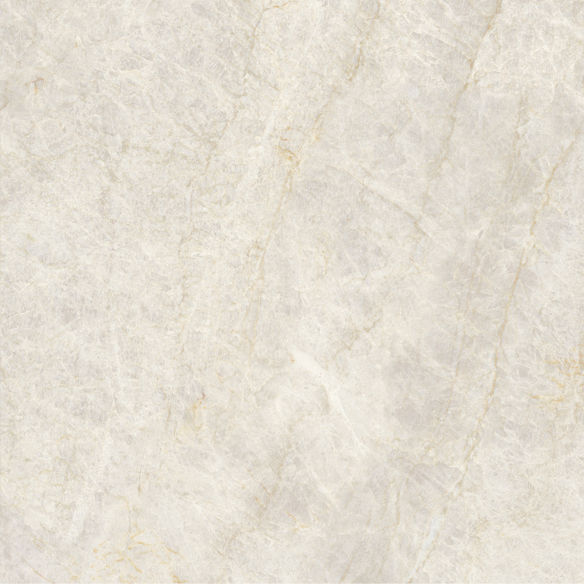 Taj Mahal Beige Polished Tile