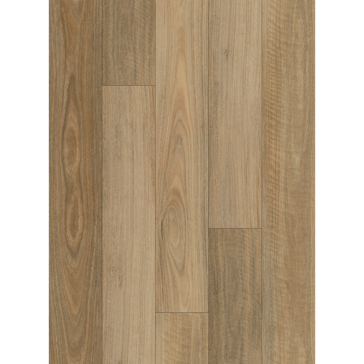 Luma Spotted Gum Luxury Vinyl Textured
