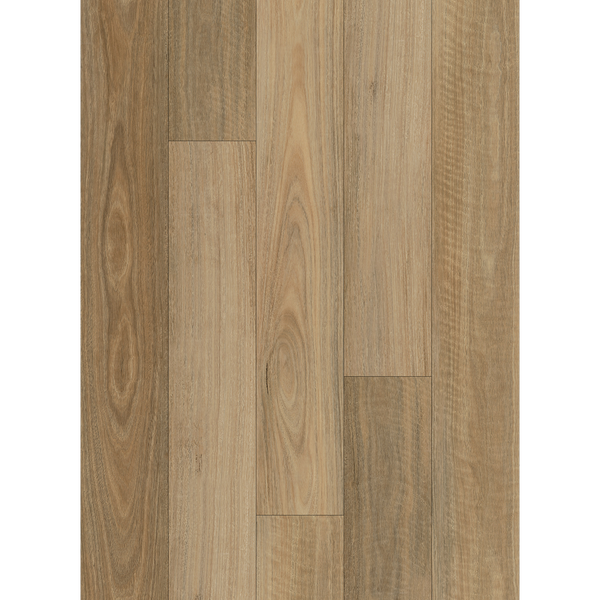 Luma Spotted Gum Luxury Vinyl Textured