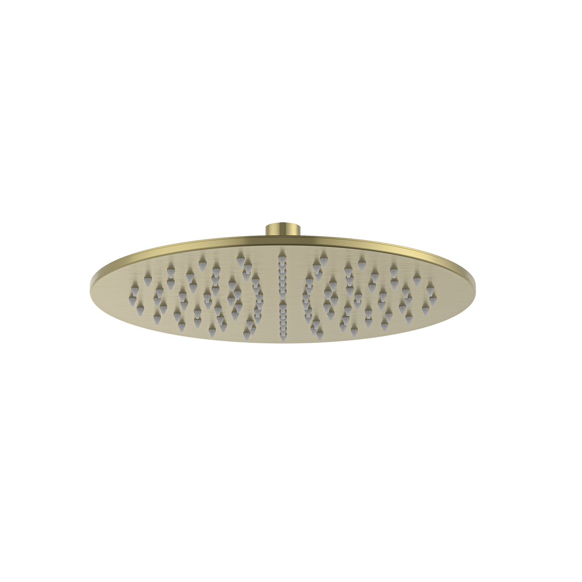 Shower Head 250 Brushed Gold