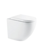 Fienza Ambulant R&T In-Wall Toilet P-Trap Gloss White