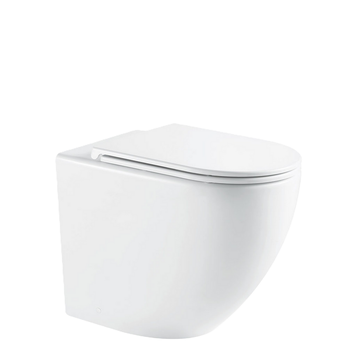 Fienza Ambulant R&T In-Wall Toilet Slim Seat P-Trap Gloss White