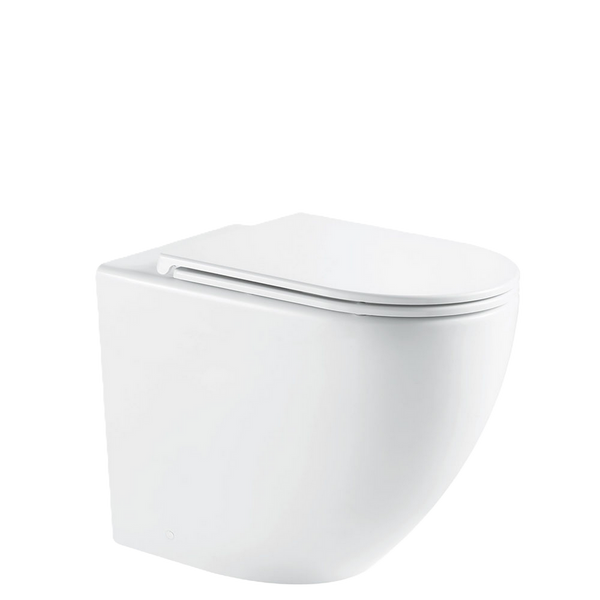 Fienza Ambulant R&T In-Wall Toilet Slim Seat P-Trap Gloss White