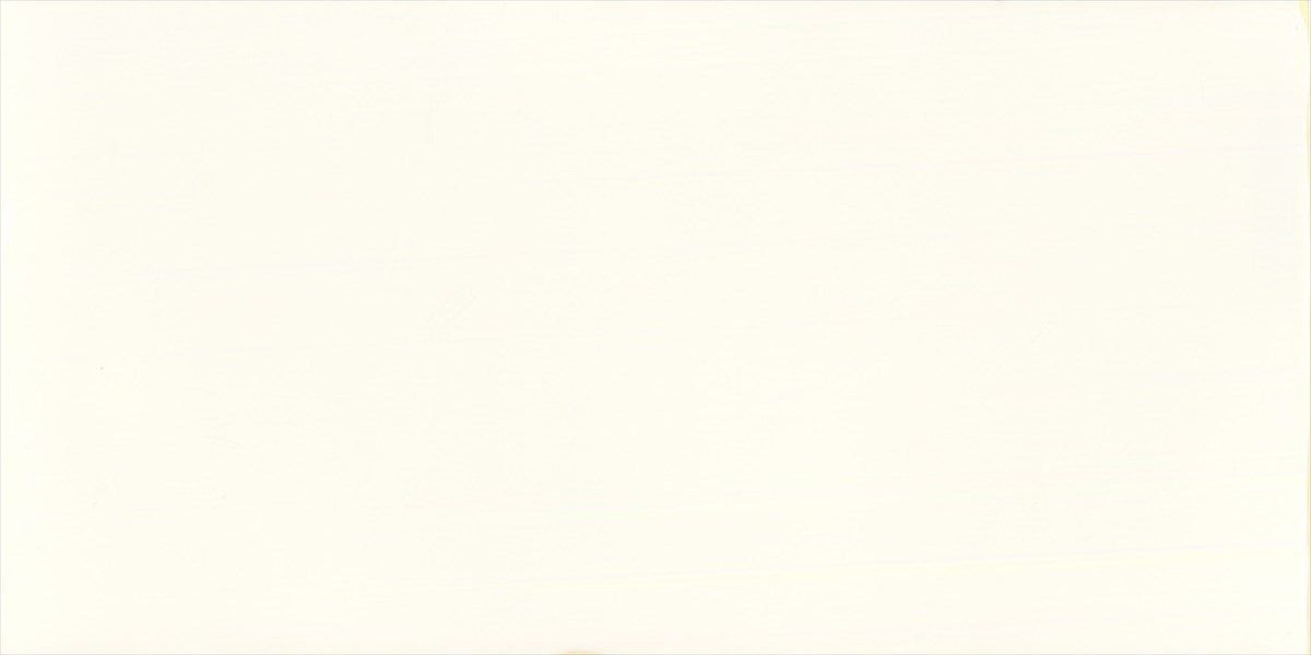 Devonshire Super White Structured Gloss Tile
