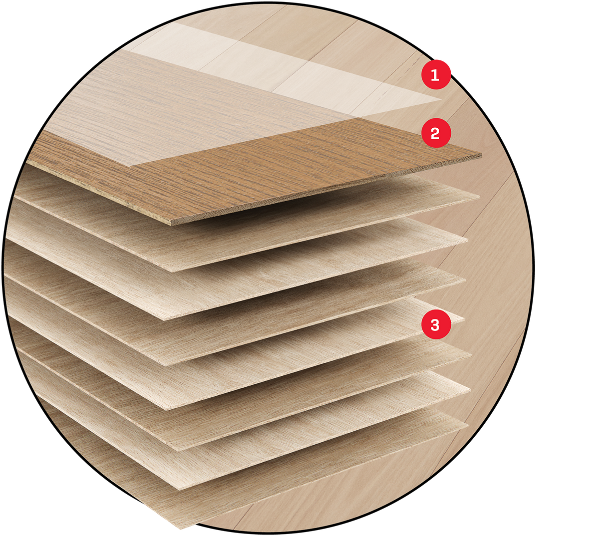 Cross-section diagram of engineered timber flooring