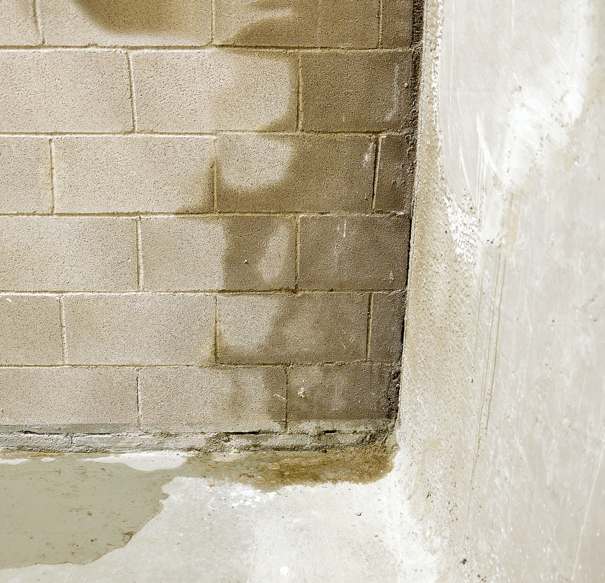 Damp wall
